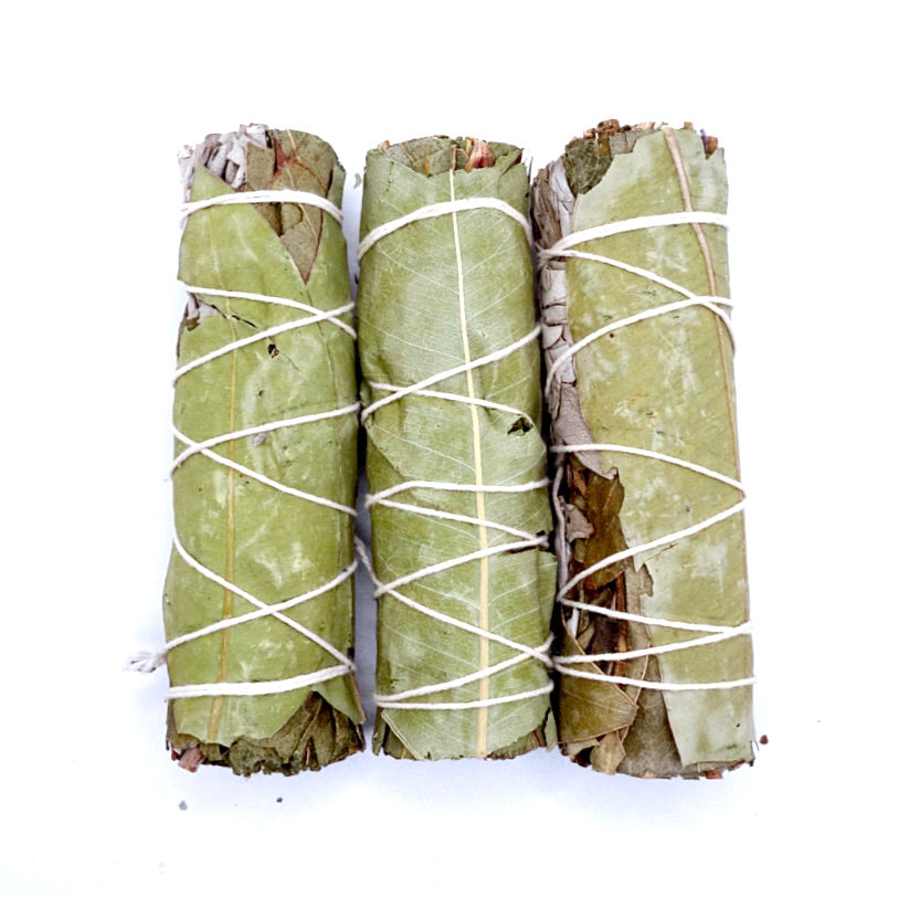 eucalyptus and white sage smudge stick