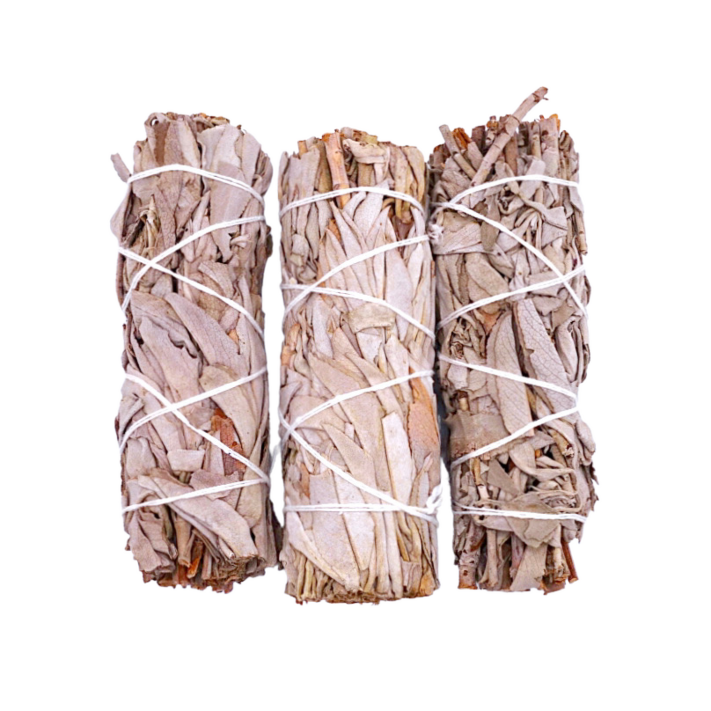 White Sage Smudge Stick