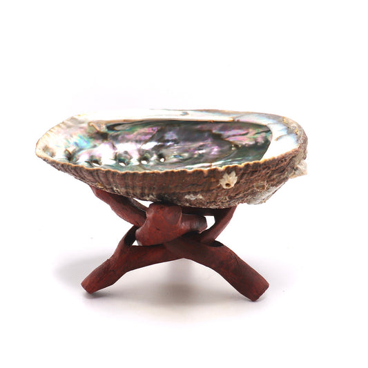 Abalone Shell and Wooden Tripod Stand