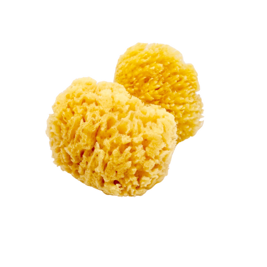 natural dead sea sponge for bathing