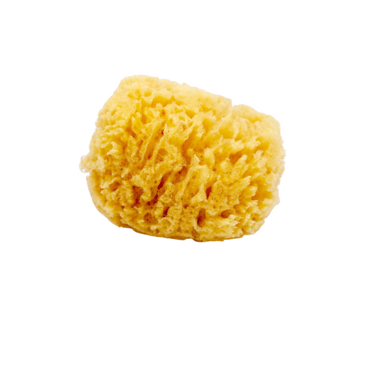 natural dead sea sponge for bathing